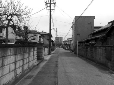 安城・特殊カフエ新桝家