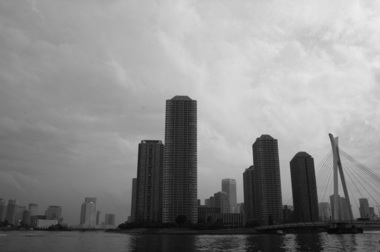 IMG_2973.jpg