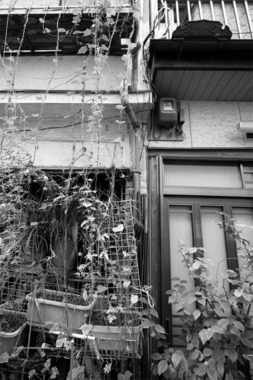 東京鳩の街タイルのある家