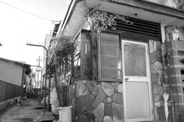 城東園・ねこ