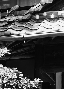 夜城園・桝屋屋根